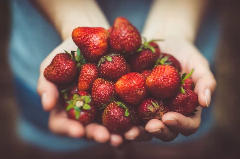 Guess the food’s shelf life challenge banner